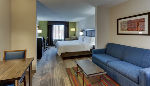Suite, 1 King Bed with Sofa bed