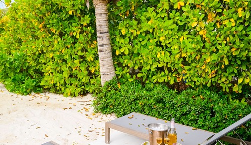 Beachfront Junior Suite
