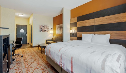 Standard Room, 1 King Bed with Sofa bed, Non Smoking, Refrigerator & Microwave (with Sofabed)