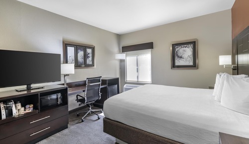 Standard Room, 1 King Bed, Accessible, Non Smoking