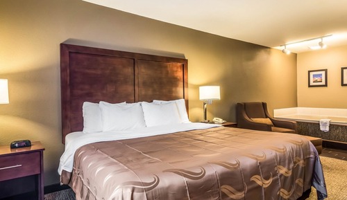 Room, 1 King Bed, Non Smoking (Pet Friendly)