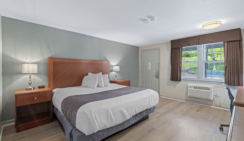 Basic Room, 1 King Bed