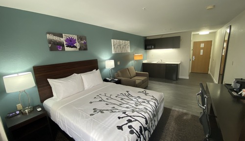 Suite, 1 Queen Bed with Sofa bed, Non Smoking (Efficiency)