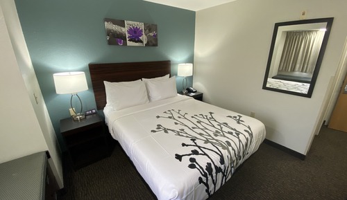 Standard Room, 1 Queen Bed, Non Smoking