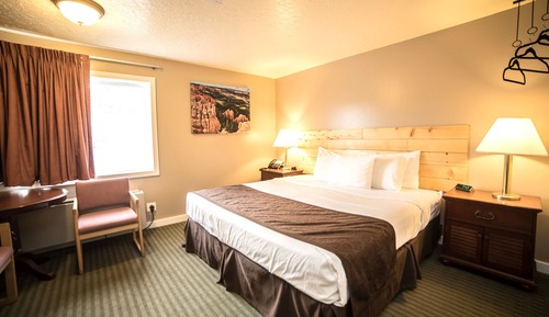 Room, 1 King Bed, Non Smoking