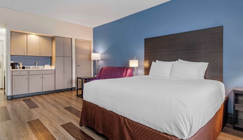 Standard Room, 1 King Bed with Sofa bed, Non Smoking, Refrigerator & Microwave (with Sofabed)