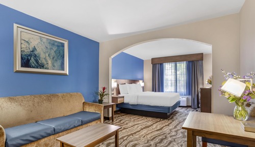 Suite, 1 King Bed with Sofa bed, Non Smoking, Jetted Tub (with Sofabed)