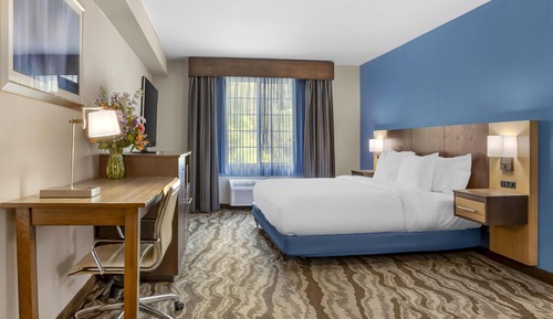 Standard Room, 1 King Bed, Accessible, Non Smoking