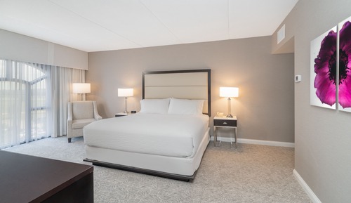 Suite, 1 Bedroom