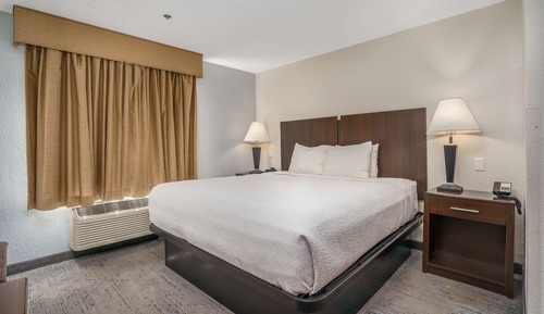 Standard Room, 1 King Bed, Non Smoking, Refrigerator & Microwave