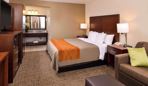Room, 1 King Bed, Non Smoking