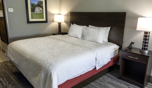 Room, 1 King Bed, Accessible, Non Smoking