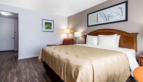 One King Bed