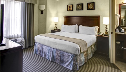 Standard Room, 1 King Bed, Accessible (Mobil Roll Shwr)