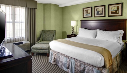 Suite, 1 King Bed with Sofa bed