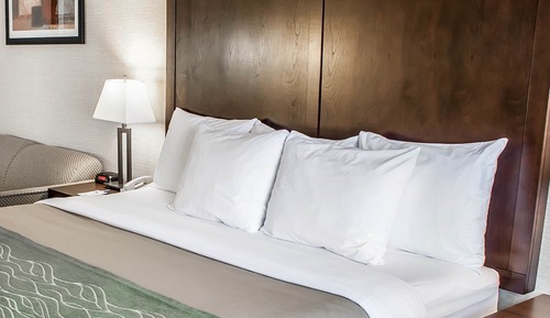 Room, 1 King Bed, Accessible, Non Smoking