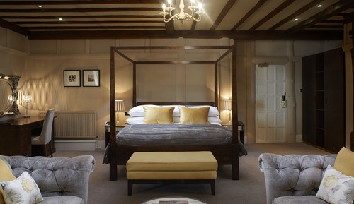 Premium Suite