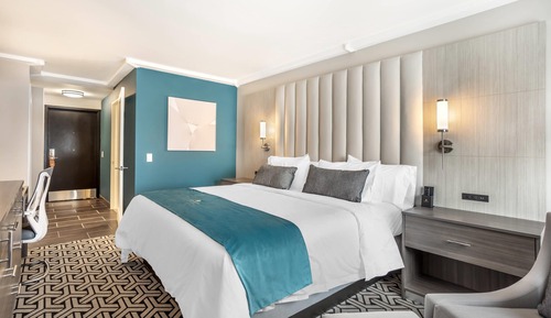 Room, 1 King Bed, Accessible, Non Smoking (Courtyard View)