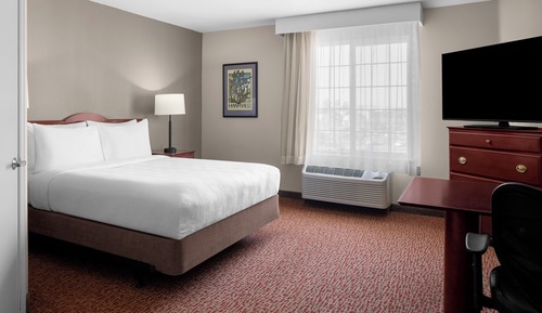Studio Suite, Mobility Accessible