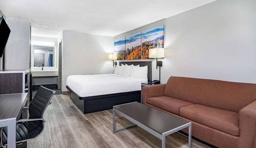 Room, 1 King Bed, Non Smoking