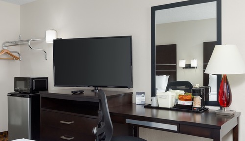 Room, 1 King Bed with Sofa bed