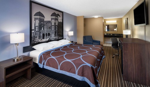 Room, 1 King Bed, Smoking