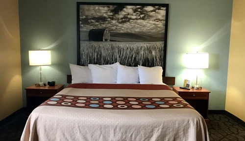 Studio Suite, 1 King Bed, Non Smoking