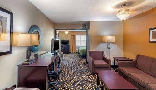 Business Suite, 1 King Bed with Sofa bed, Non Smoking, Jacuzzi