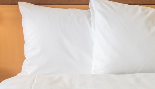 Premium Room, 1 King Bed with Sofa bed (Allergen Treated)