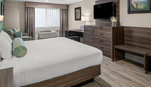 Suite, 1 King Bed with Sofa bed