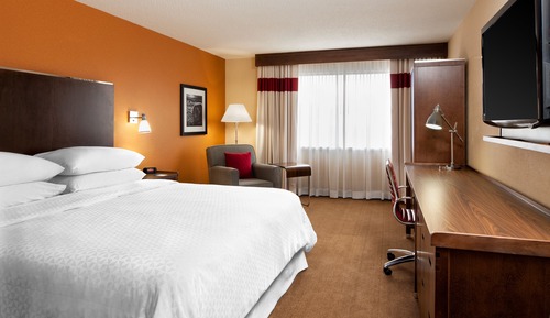 Room, 1 King Bed, Non Smoking