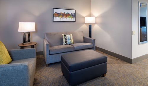 Studio Suite, 1 King Bed