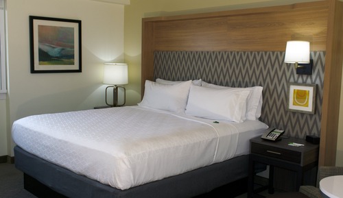 Standard Room, 1 Queen Bed, Mobility Accessible (Accessible Tub)