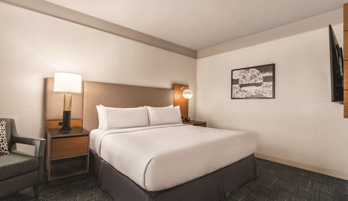 Suite, 1 King Bed, Accessible (Roll-In Shower)