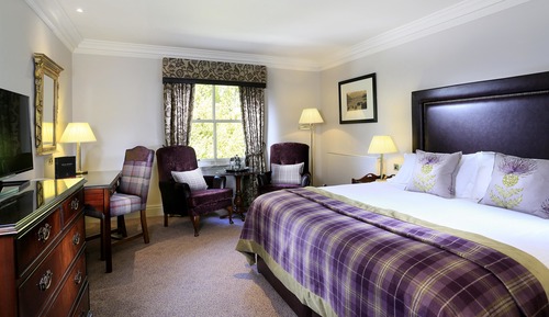 Standard Room, 1 King Bed (Standard King)