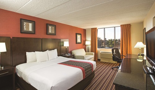 Room, 1 King Bed, Non Smoking