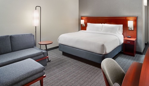 Room, 1 King Bed with Sofa bed, Non Smoking (Mobility Accessible, Roll-in Shower)
