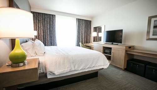 Room, 1 King Bed, Non Smoking, Refrigerator & Microwave