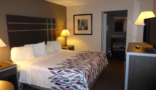 Superior Room, 1 King Bed, Non Smoking