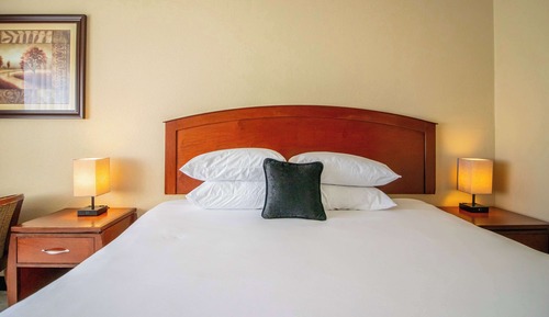 Business Room, 1 King Bed