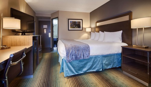 Standard Room, 1 King Bed, Accessible, Non Smoking