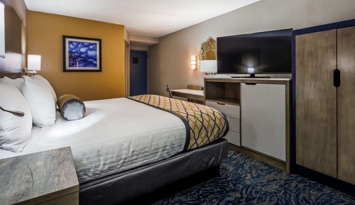 Standard Room, 1 King Bed, Non Smoking, Refrigerator