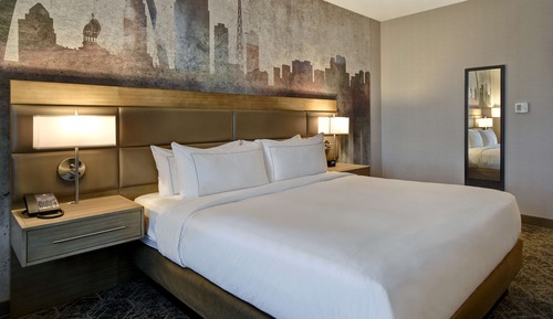 Room, 1 King Bed