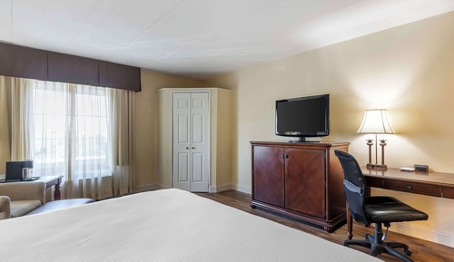 Business Room, 1 King Bed, Non Smoking, Refrigerator & Microwave