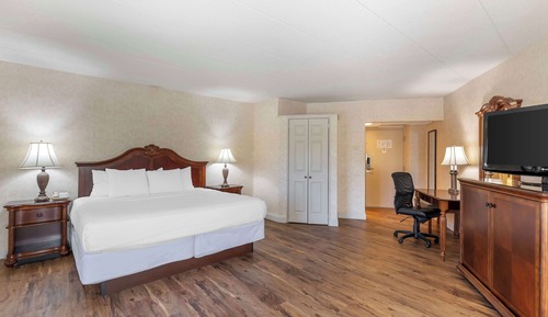 Business Room, 1 King Bed, Non Smoking (Oversized Room)
