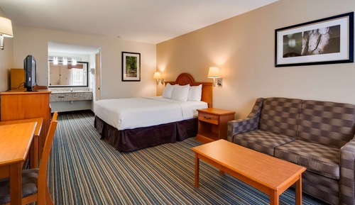Standard Room, 1 King Bed, Smoking, Refrigerator & Microwave