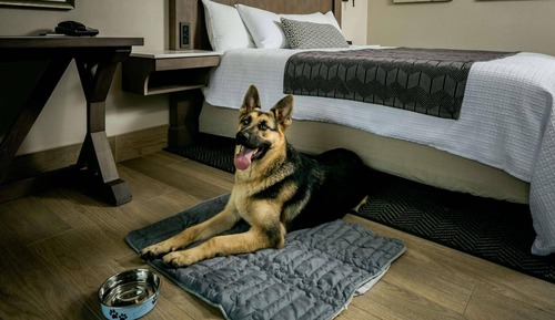 Deluxe Room, 1 King Bed, Oceanfront