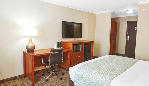 Room, 1 King Bed, Non Smoking