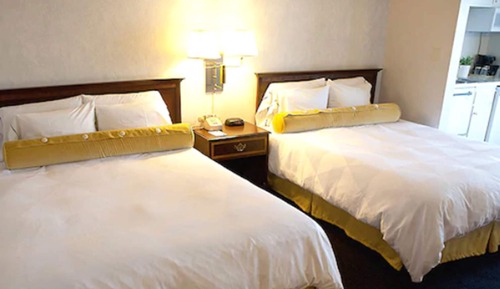 Standard Studio Suite, Accessible