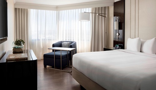 Executive Suite, 1 King Bed with Sofa bed